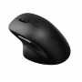 Rapoo M50 Plus Black Wireless Optical Mouse -4-speed Preset Dpi -wireless 2.4g Transmission. Office And Business Choice