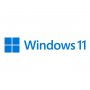 Microsoft Hzv-00101 Oem Windows 11 Pro (64 Bit) For Workstation - Dvd Oem Pack