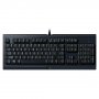 Razer Rz03-02740600-r3m1 Gaming Keyboard: Cynosa Lite Essential  Fully Programmable, Rgb Chroma Lighting, Gaming Grade Keys, 10 Key Roll-over, Spill Resistant