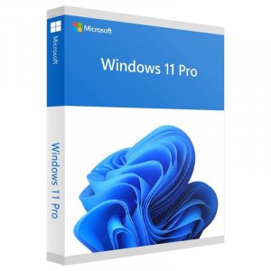 Microsoft Windows 11 Pro 64-Bit, FPP, USB 3.0